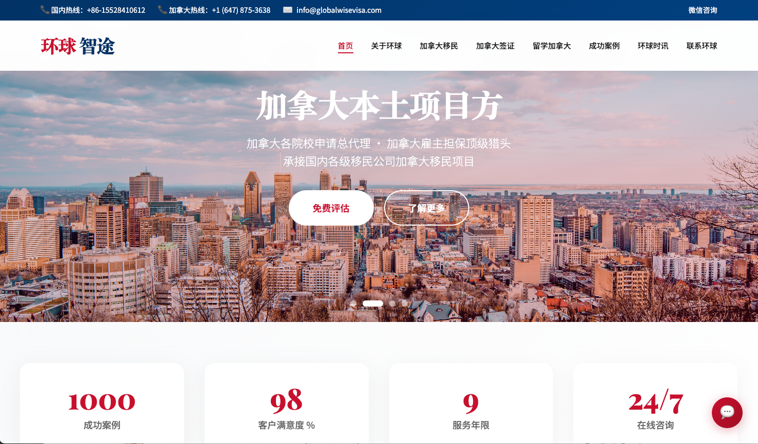 Global Wise website preview